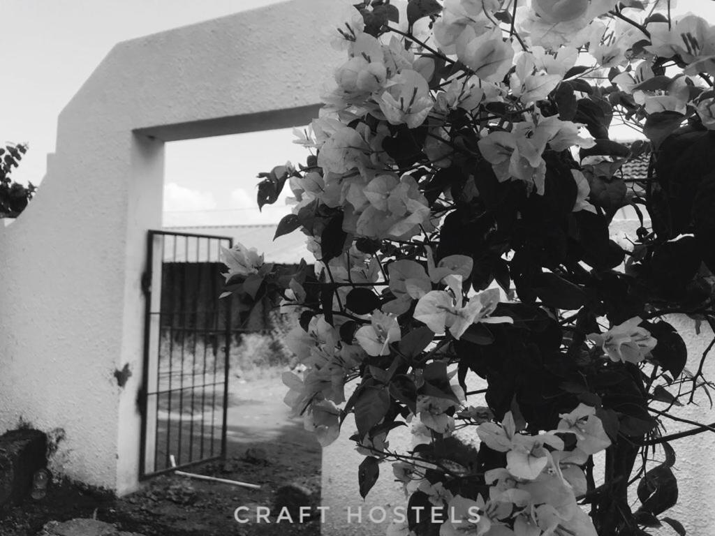 Craft Hostels Anjuna Luaran gambar