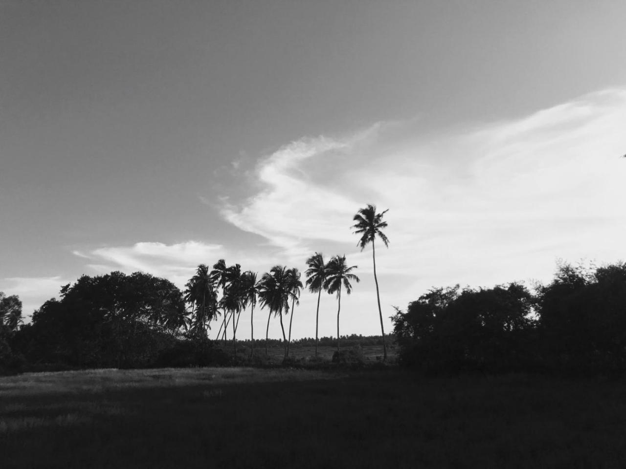Craft Hostels Anjuna Luaran gambar